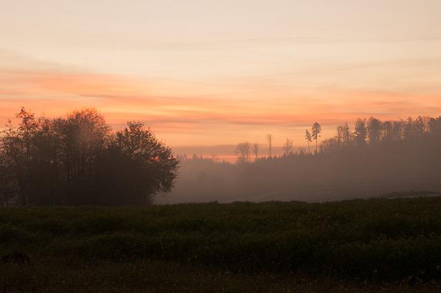 Frases sobre aceptación
