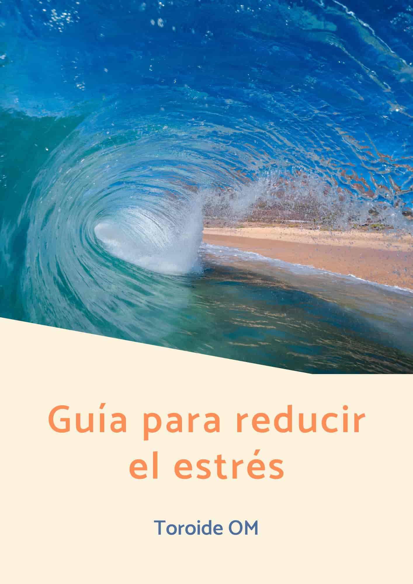 guia para reducir estres